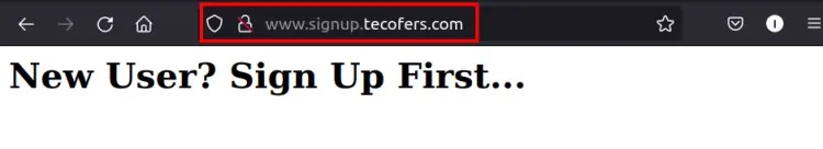 Проверка доступа по DNS к ALB и записям