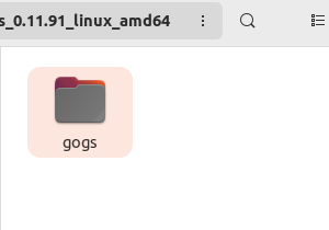 Каталог gogs с файлами приложения