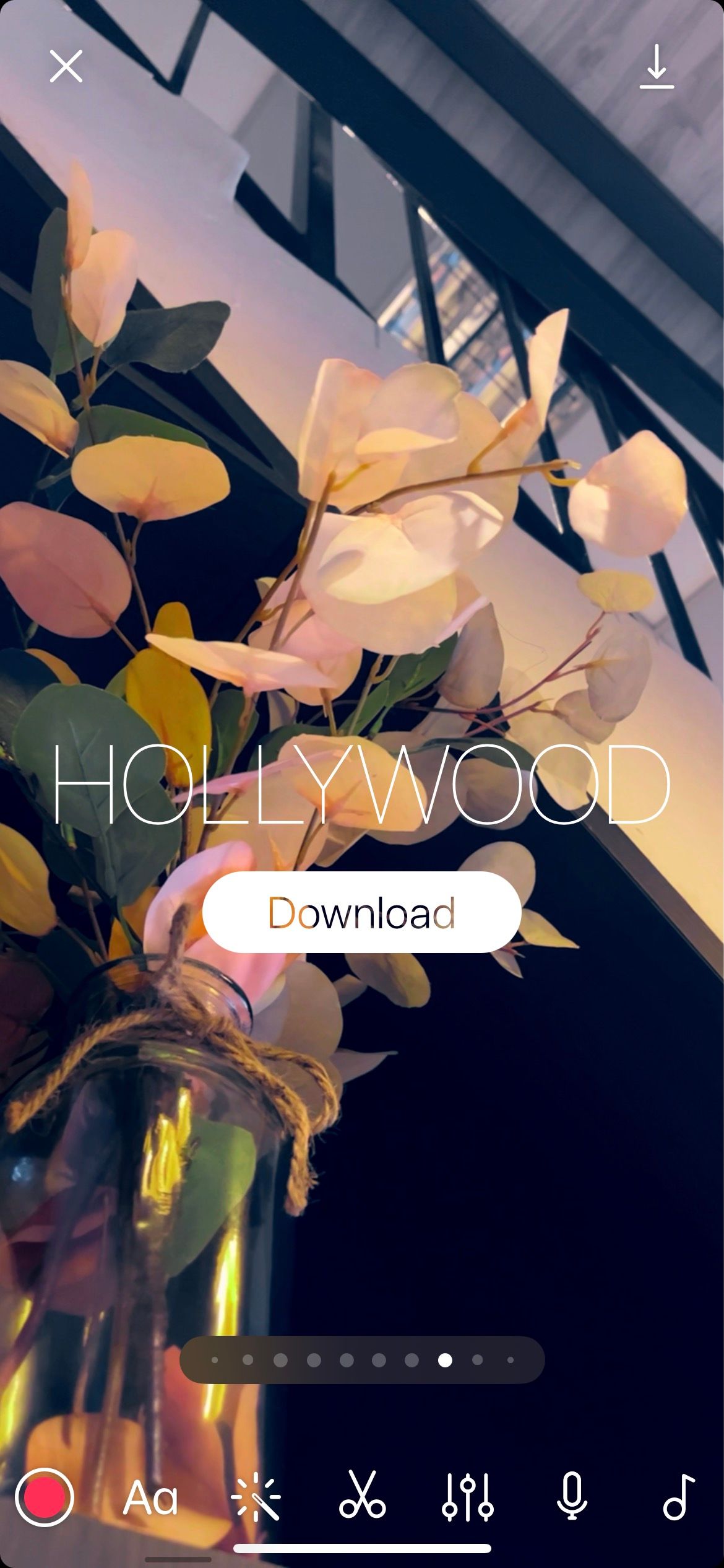 фильтр Hollywood в Spark Camera