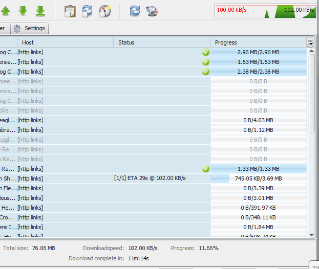 Процесс скачивания в JDownloader