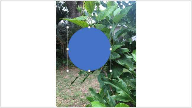 Фигура нарисована поверх изображения