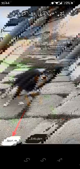 Редактирование клипов в Reels