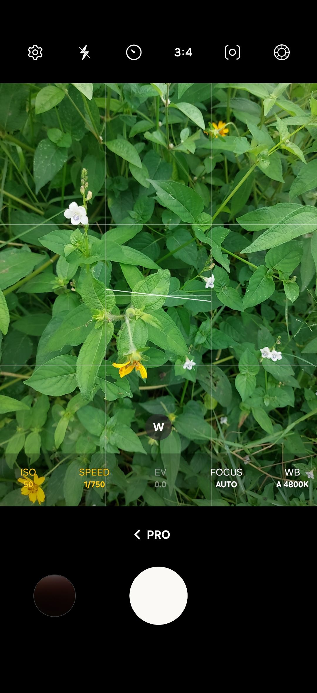 Пример Pro‑режима на смартфоне: параметры ISO и выдержки видны на экране