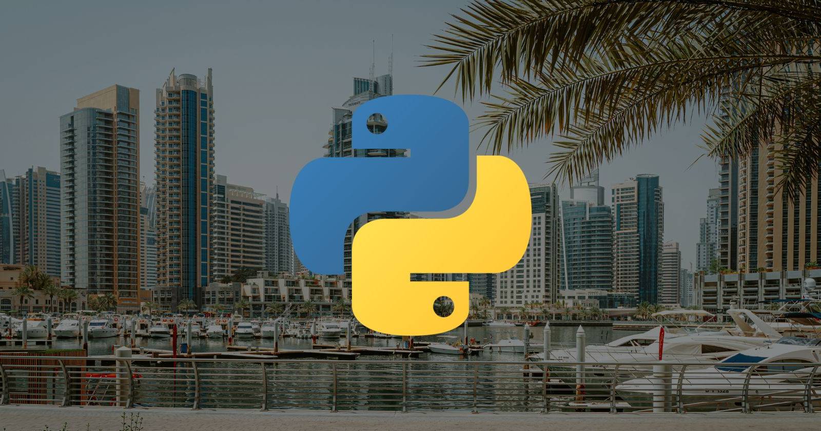 Панорамная съёмка зданий с логотипом Python