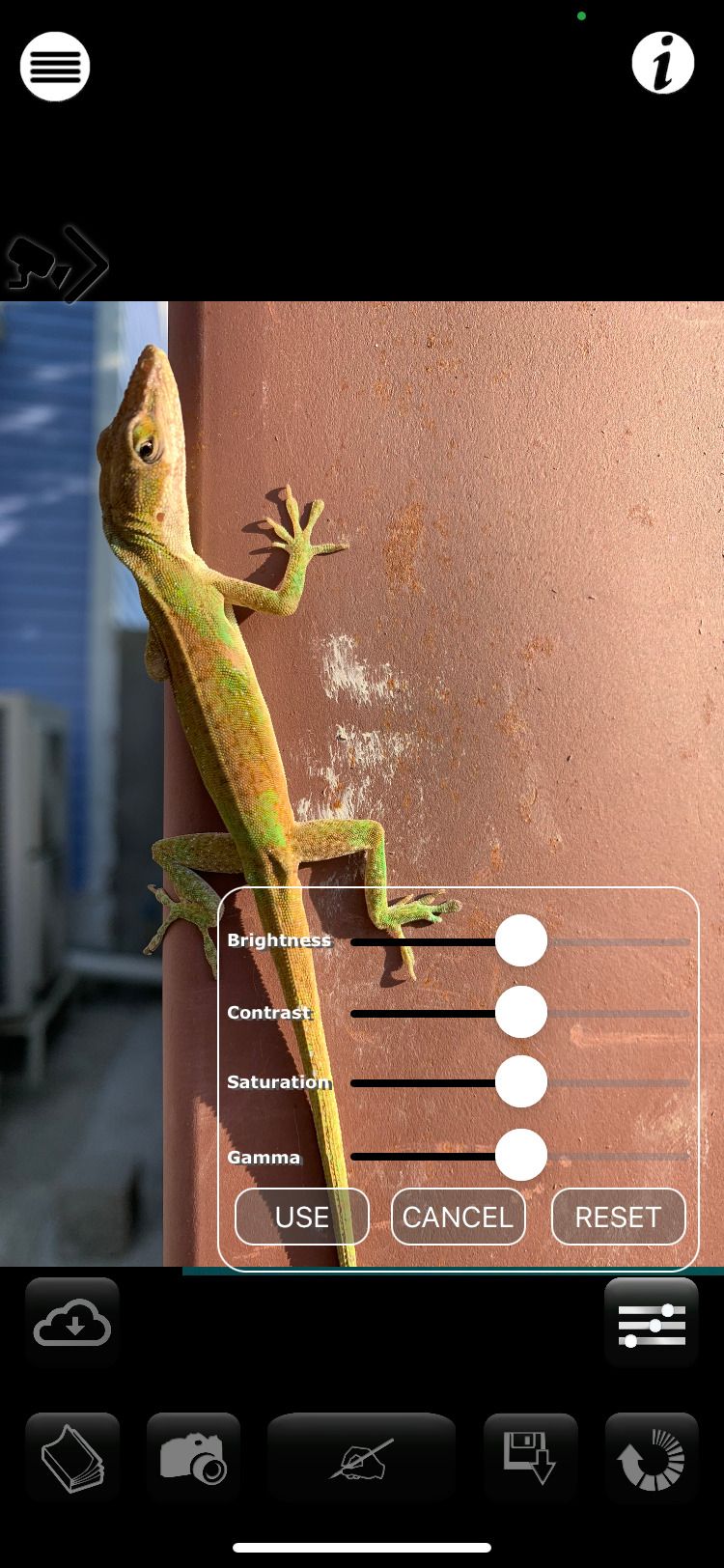 Базовые настройки фото в Camera Lucida