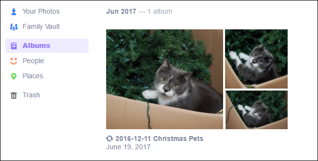 Пример созданных альбомов на основе папок Amazon Drive