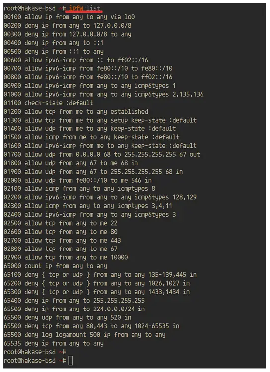 Вывод ipfw list с правилами по умолчанию