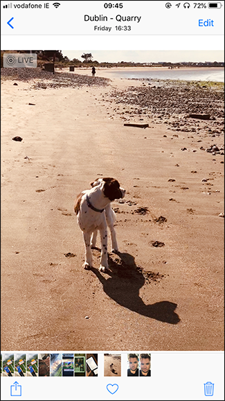 Просмотр эффектов Live Photo — свайп вверх