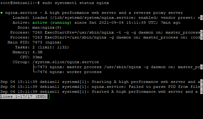 Статус службы nginx — active (running)