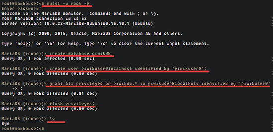 Piwik на Ubuntu 15.10 с Nginx и PHP‑FPM