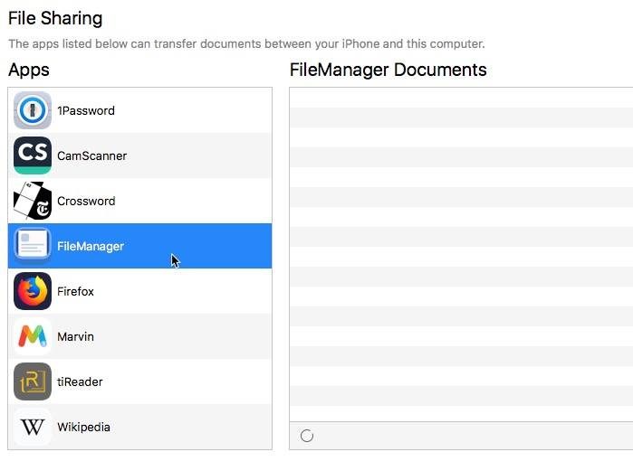 Выбор приложения File Manager в разделе общего доступа файлов iTunes