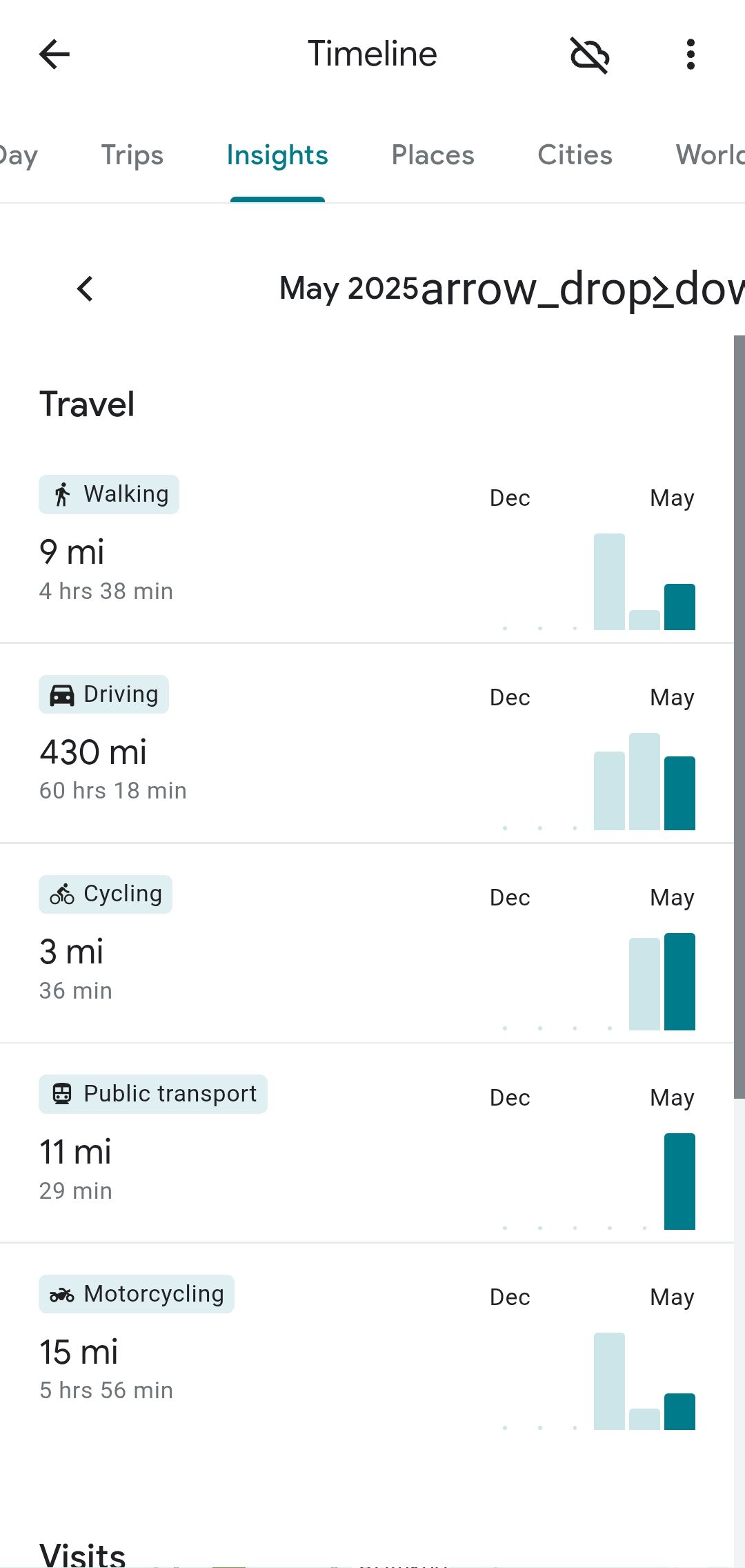 Информация в хронологии Google Maps