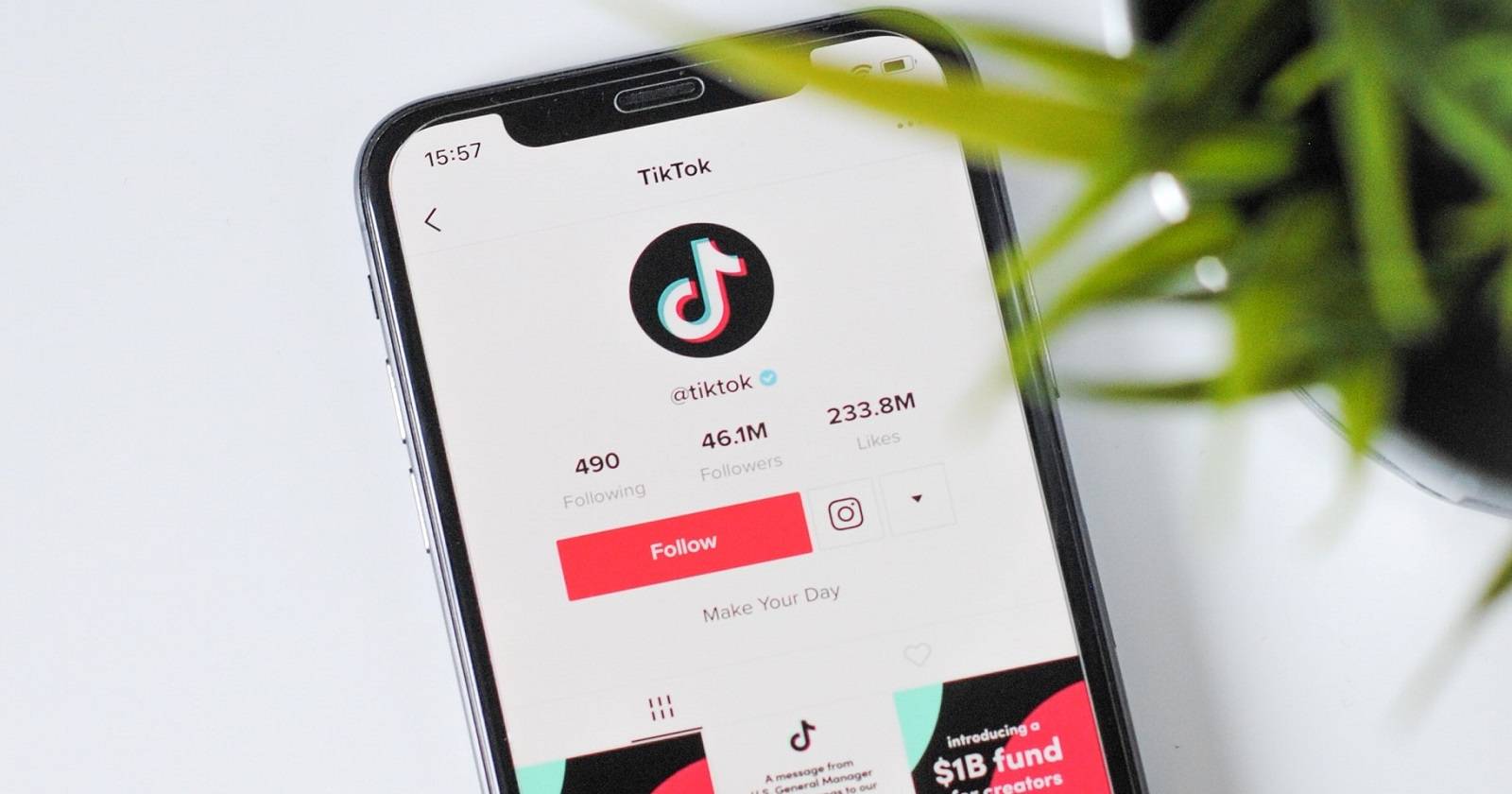 Профиль TikTok — как получить подтверждение аккаунта