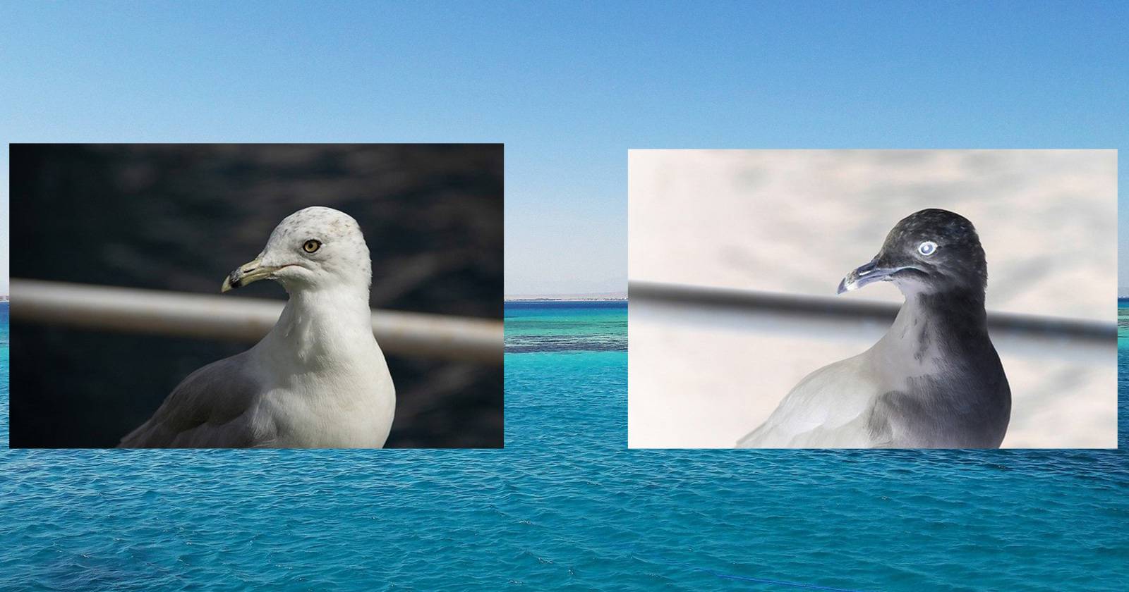 Инверсия цветов в Photoshop — быстрое руководство