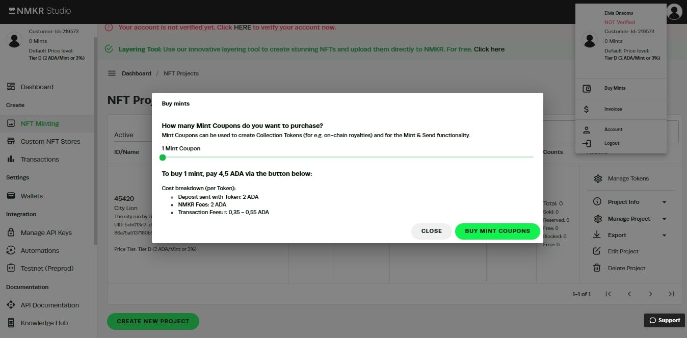 Скриншот NMKR: покупка прав на минт