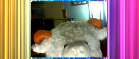 Установите таймер, чтобы не потерять время