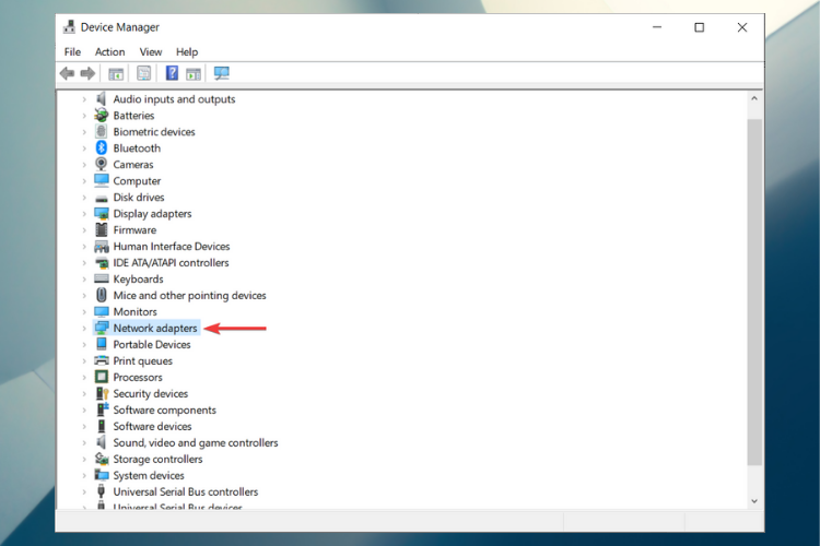 Ветвь «Сетевые адаптеры» в Диспетчере устройств