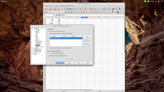 Опция 'Включить запись макросов' в настройках LibreOffice