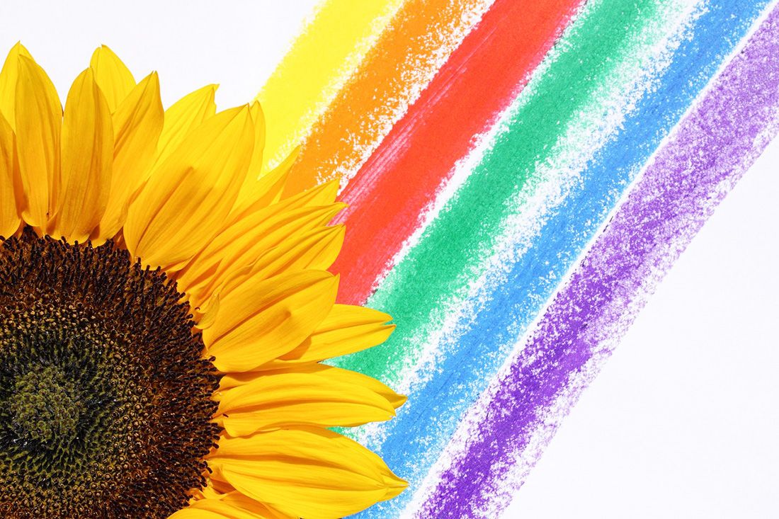 Ряд отдельных цветов