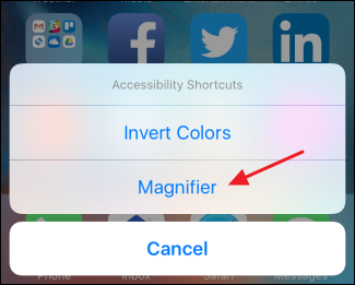 Меню выбора вариантов при тройном нажатии кнопки Домой — открыть Лупу