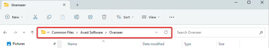 Папка Overseer перед удалением