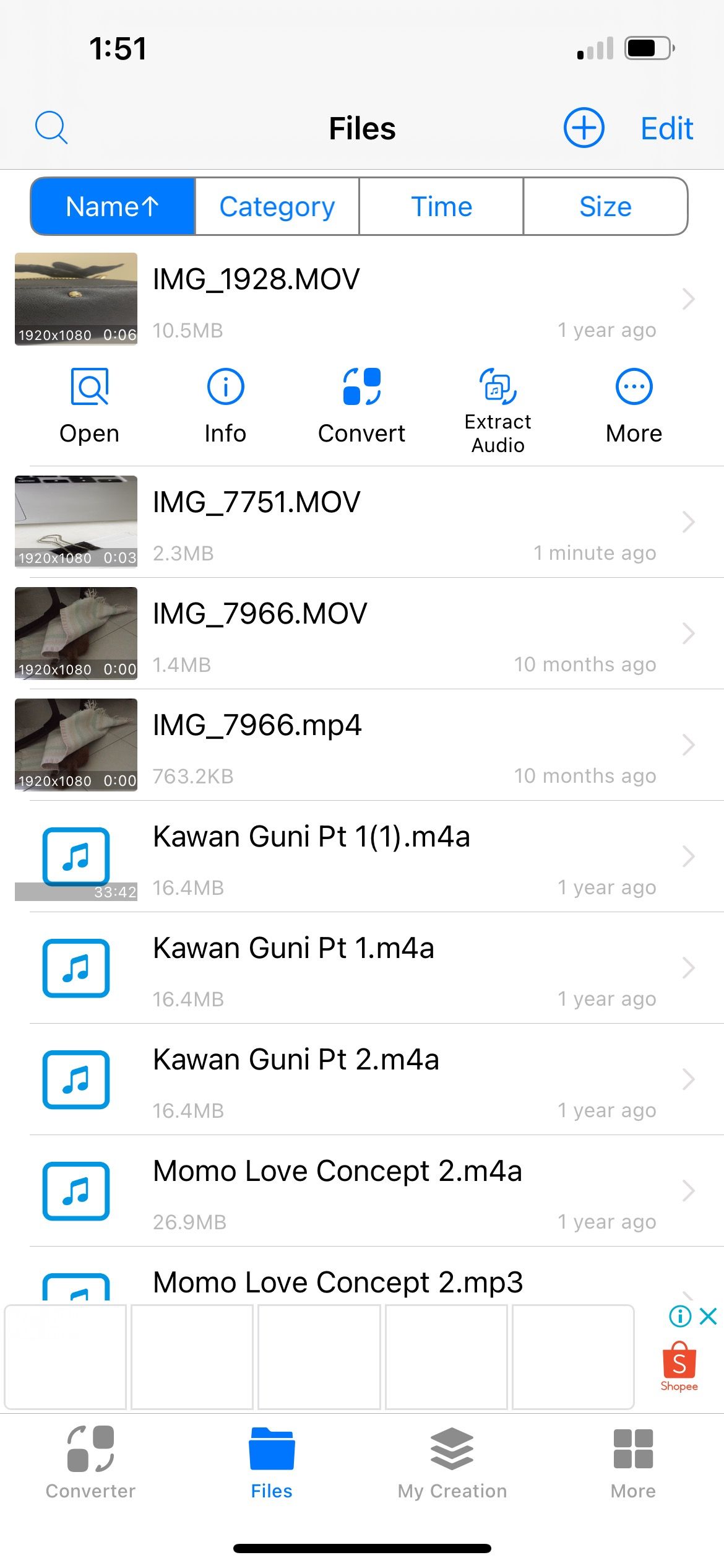 Список файлов в Media Converter