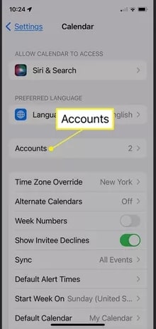 Экран iPhone: раздел Учётные записи в настройках Календаря