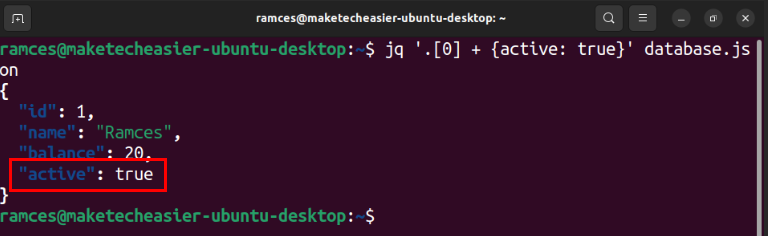 Терминал: добавлен ключ active:true к первому объекту