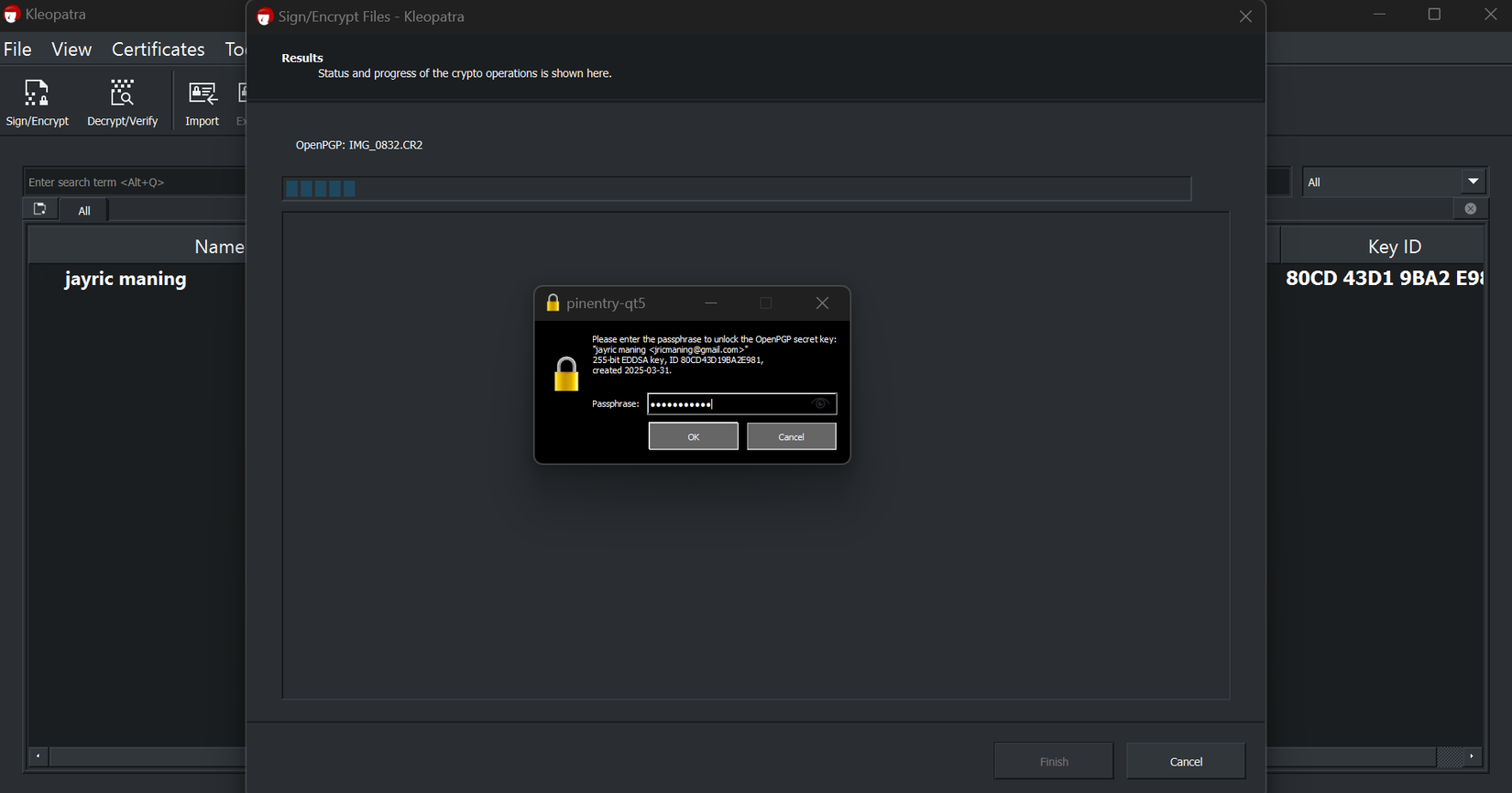 Окно Kleopatra для управления OpenPGP-ключами и шифрования файлов