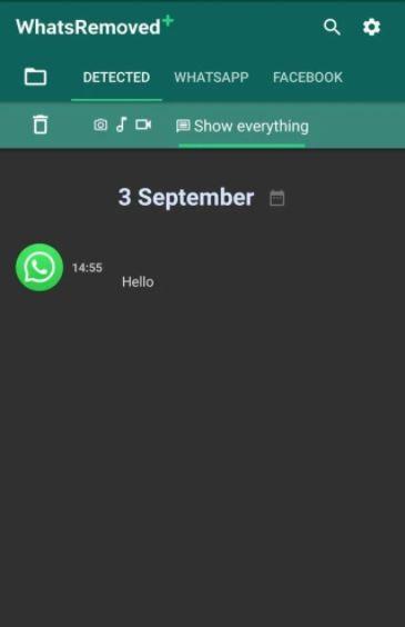 Интерфейс WhatsRemoved+