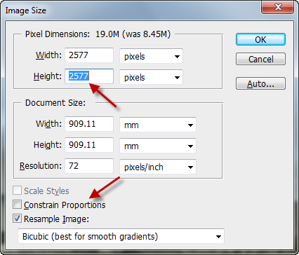 Квадратное изображение перед трансформацией