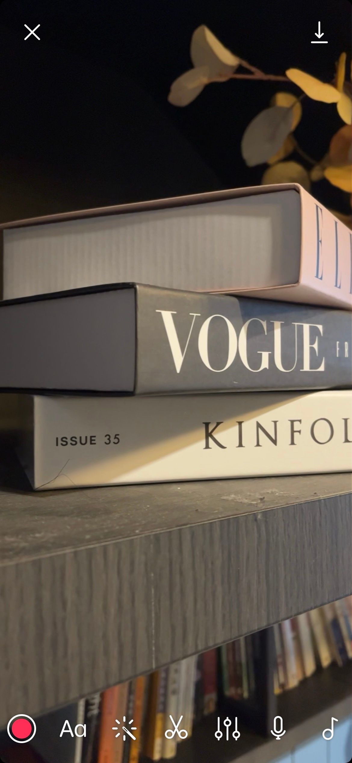 главная страница для редактирования проекта в Spark Camera