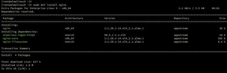 Установка и запуск Nginx