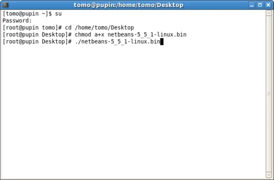 Скриншот запуска установщика NetBeans в терминале