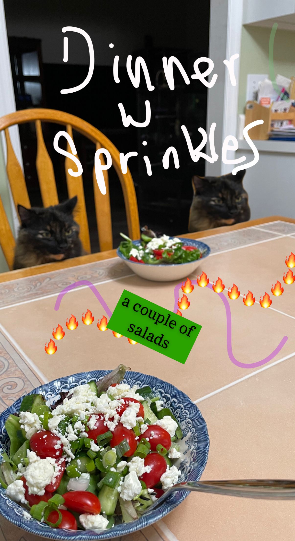 Кошка за столом с наложенными стикерами и рисунками