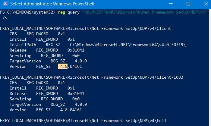 Вывод проверки версии .NET Framework (пример: 4.8)