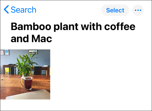 Подпись с одним изображением