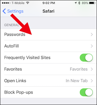 Экран «Пароли» в настройках iOS, где можно редактировать сохранённые логины