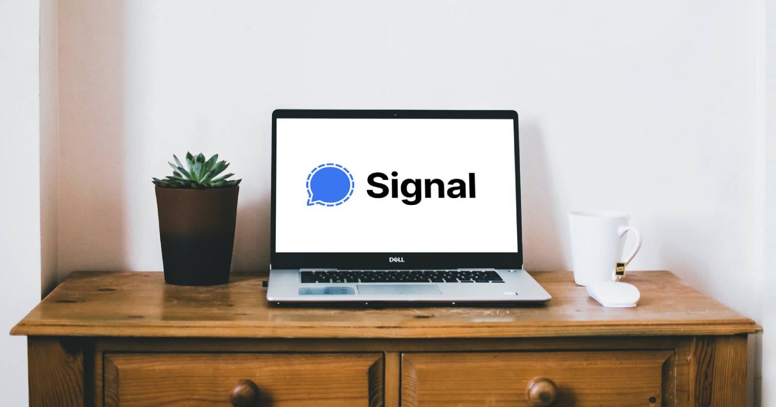 Signal на рабочем столе