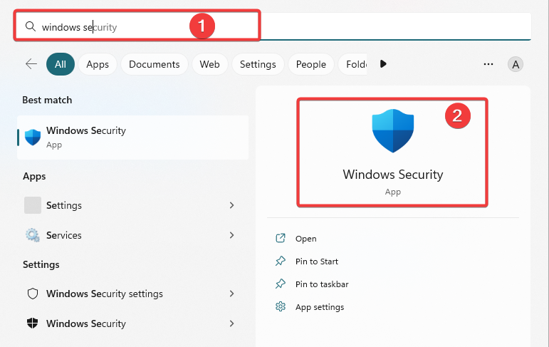Панель: Безопасность Windows