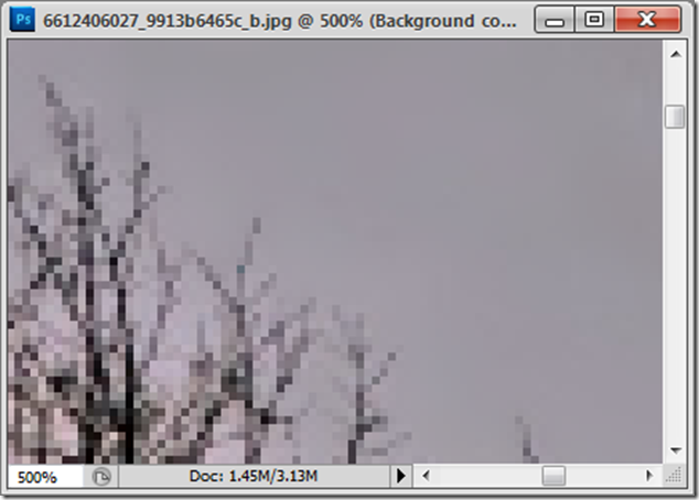 Combinazione di Smart Blur e dettaglio originale: albero conservato
