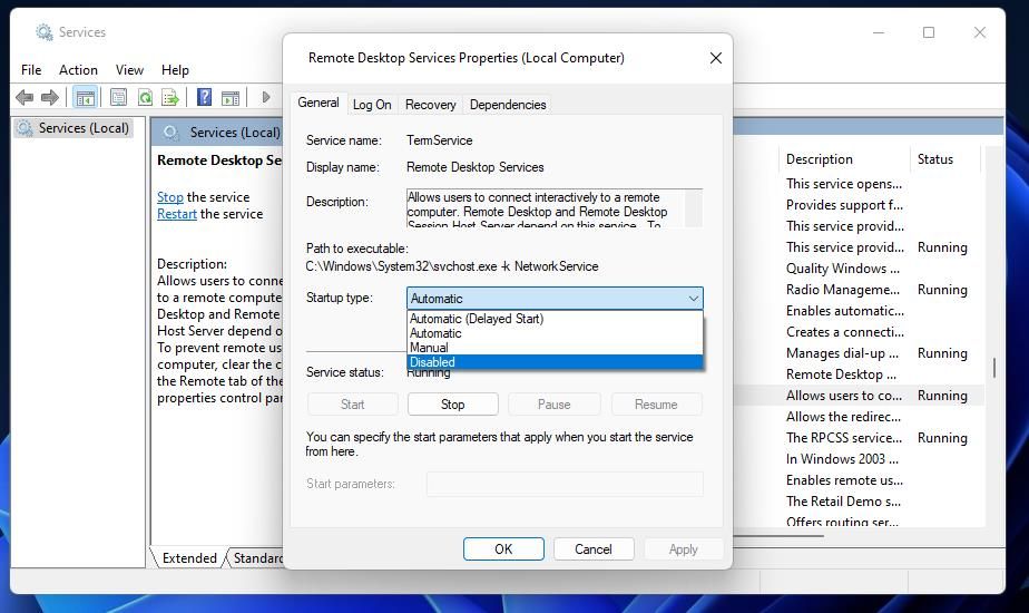 The Remote Desktop Services Properties window