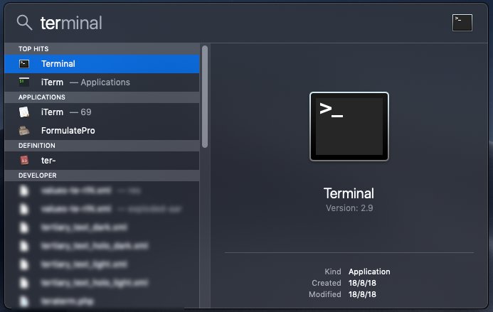 Окно Spotlight с результатом поиска Terminal