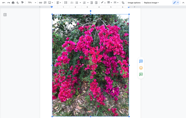 Изображение, вставленное в документ Google Docs