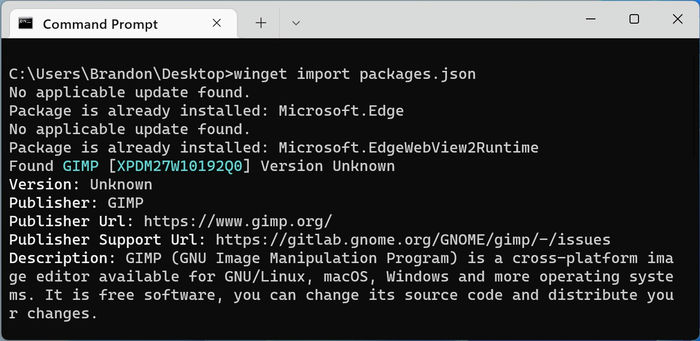 Windows Package Manager Terminal Winget Import Packages Agreement