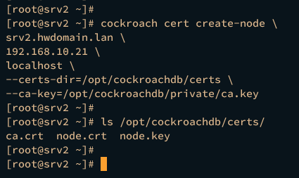 генерация node для srv2
