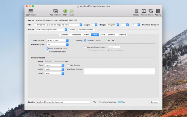 Интерфейс HandBrake с пресетами и очередью