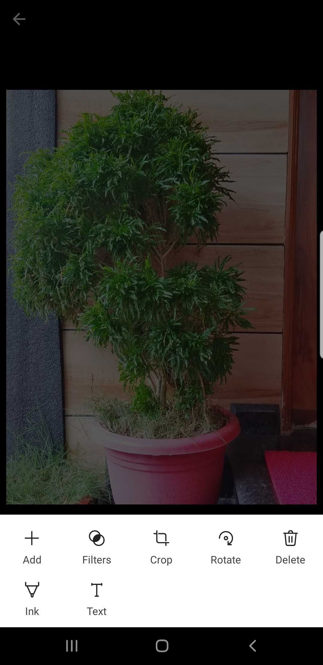 Все доступные опции редактирования в мобильном приложении OneDrive