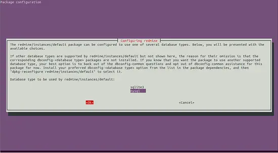 Выбор MySQL в конфигураторе пакета Redmine