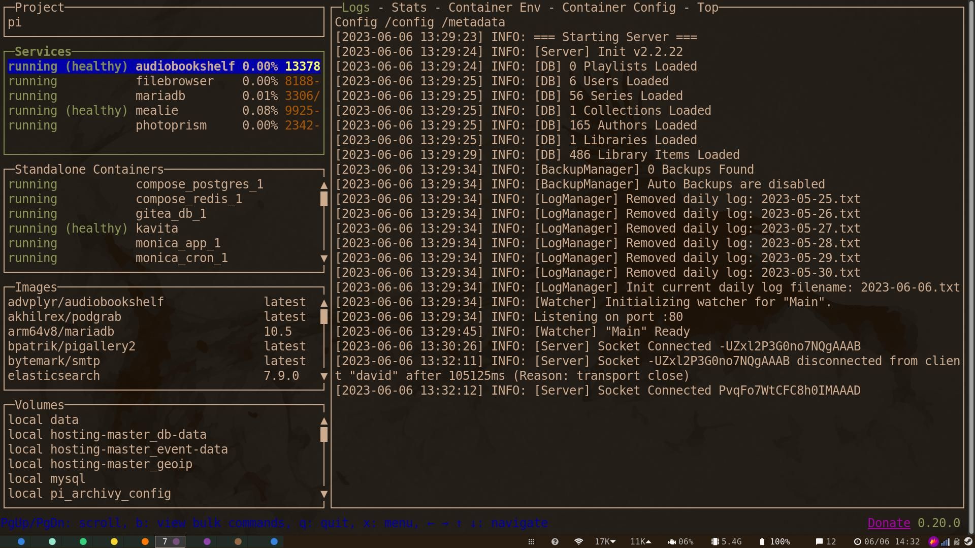 lazydocker: окно логов выбранного сервиса